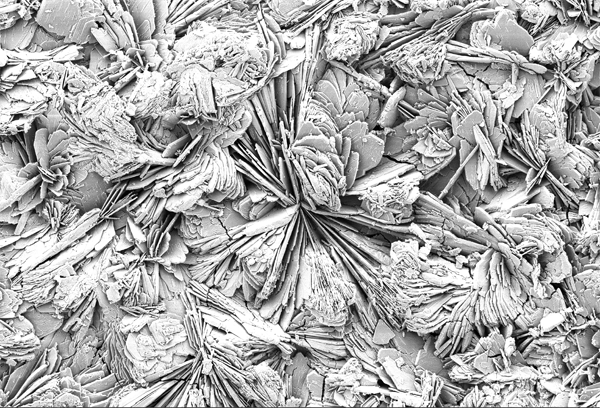 SEM-Image of an additive surface (BONITex®)